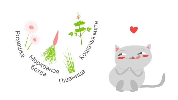 Кошка растения для стерильности