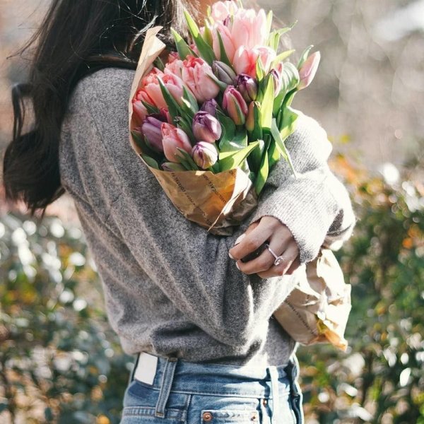 Тюльпаны зимой