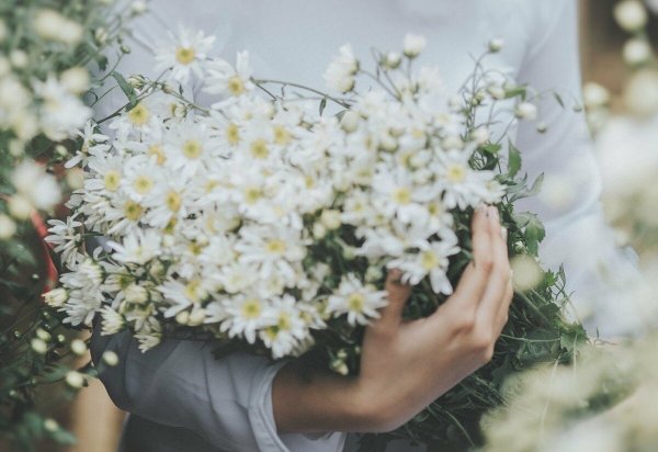 Девушка с тюльпанами