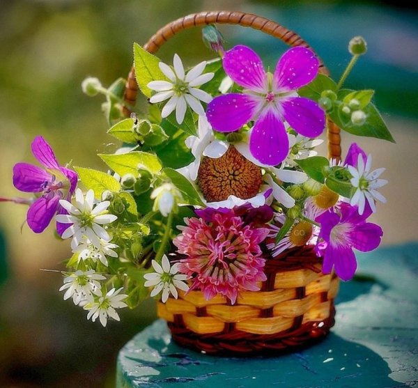 Цветочек для настроения