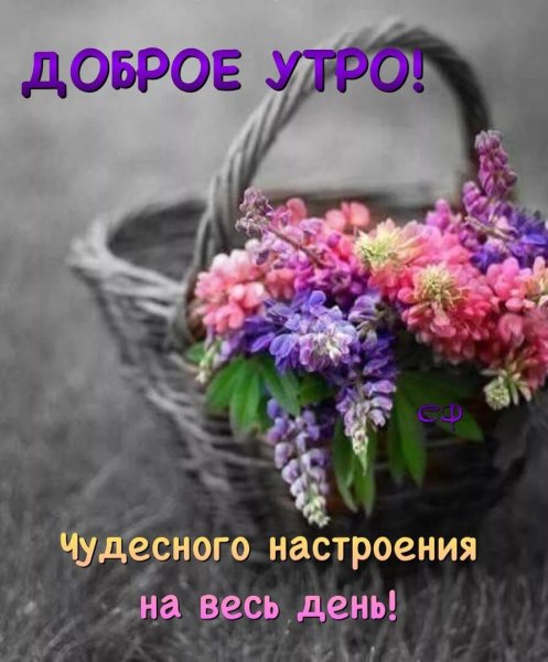 Открытка благодарности и добрым утром