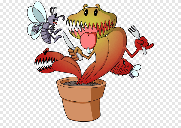 Венерина мухоловка волоски