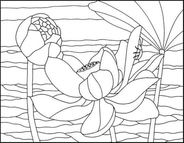 Витражи Тиффани эскизы