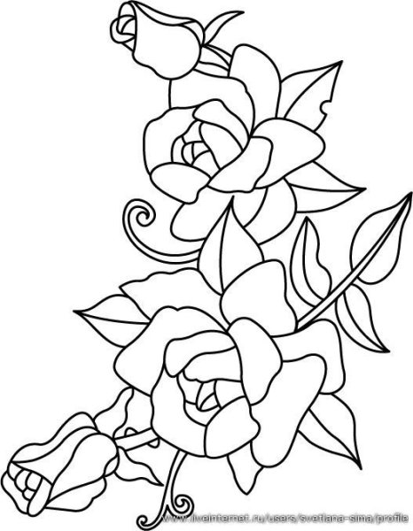 Эскизы для витража на стекле