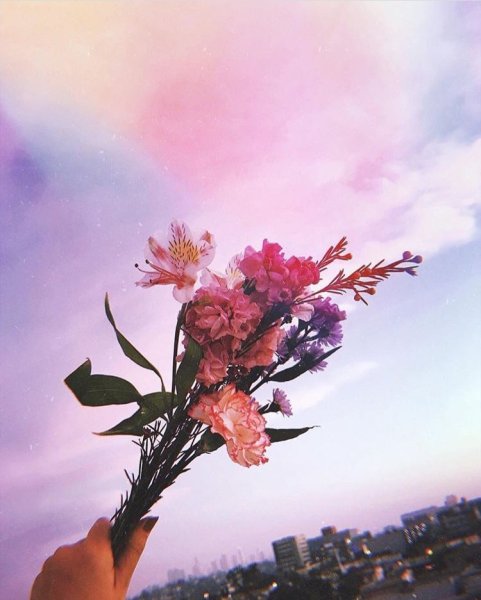 Эстетика с цветами