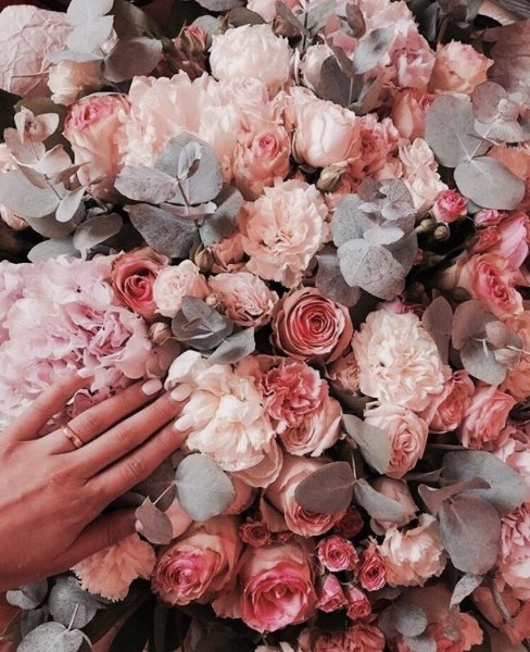 Эстетика в цветах