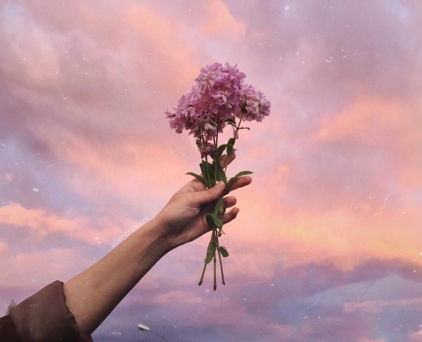 Цветочная Эстетика