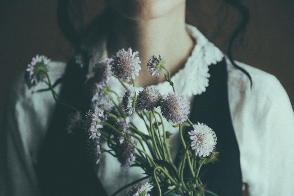 Эстетика в цветах