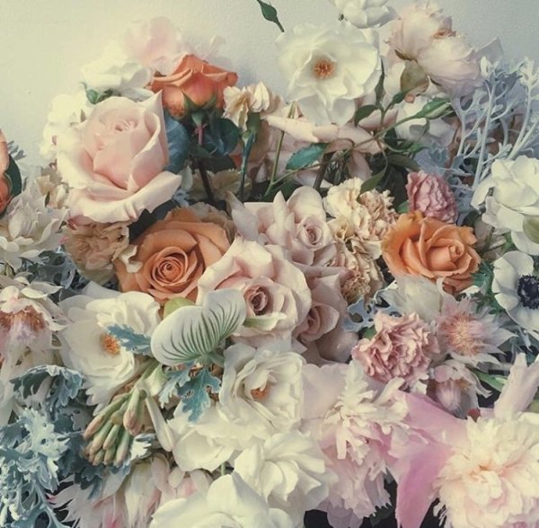 Цветы Эстетика