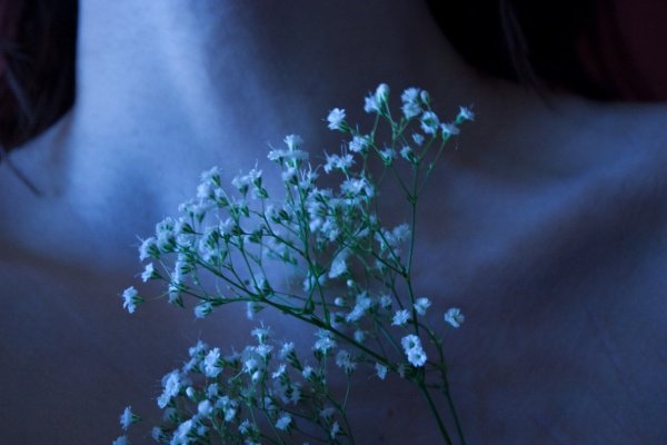 Красивая Эстетика цветов