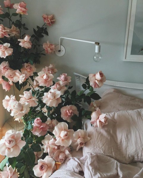 Эстетика с цветами