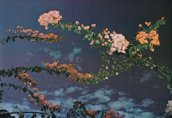 Эстетика прекрасного