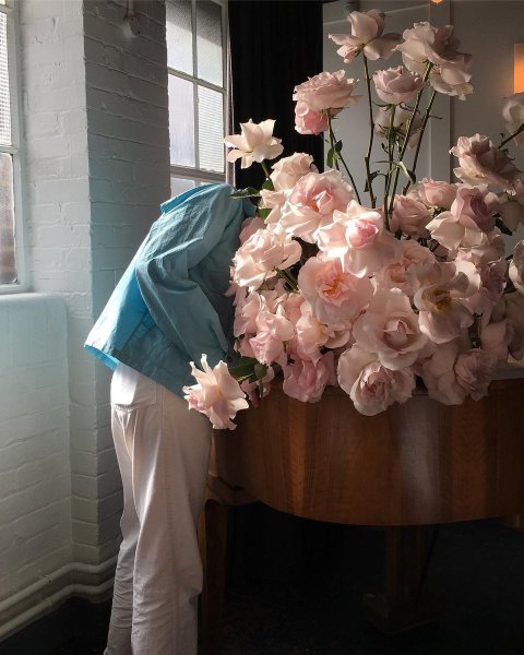 Эстетические цветы