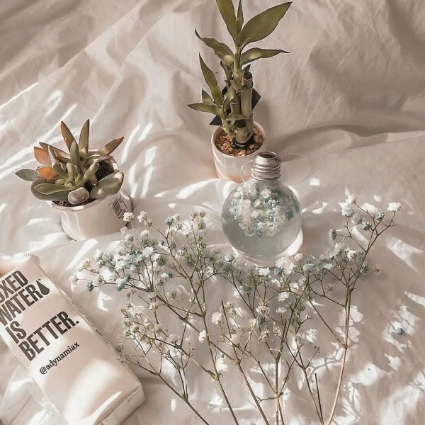 Эстетика с цветами