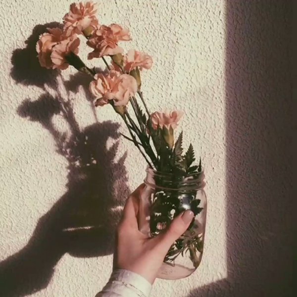 Рододендроны Тхачей