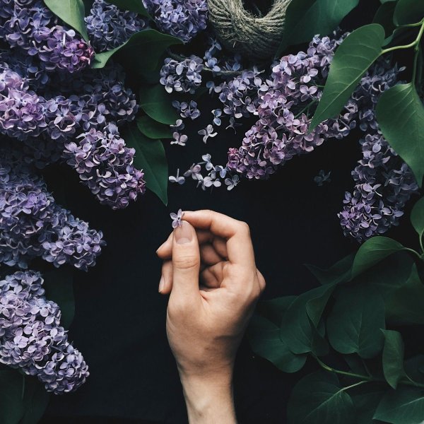 Эстетика голубого