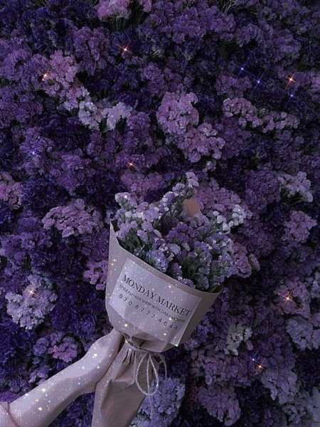 Эстетические цветы