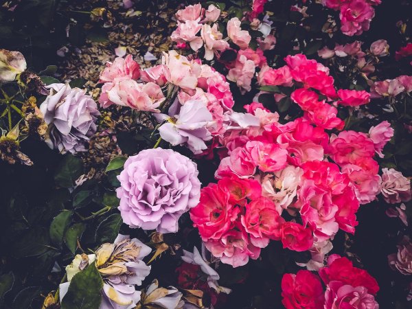 Эстетика пинтереста