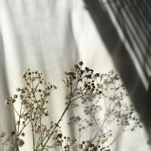 Эстетика оранжевого цвета