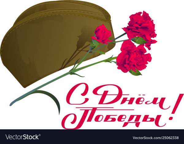 Военная пилотка и гвоздики