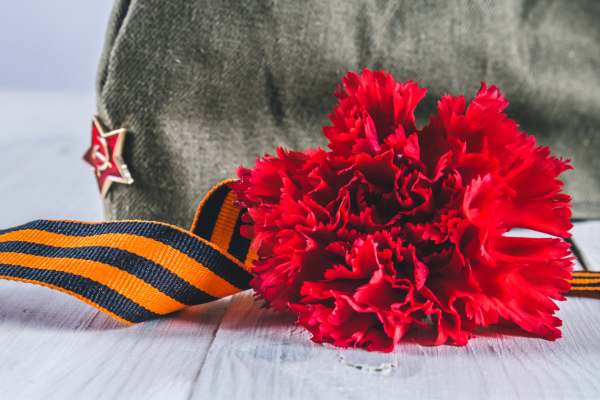 Красные гвоздики с георгиевской лентой