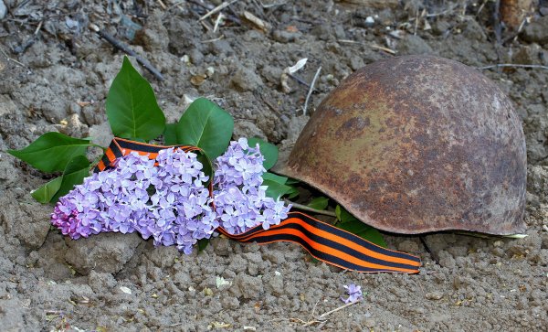 Сирень Победы 1945