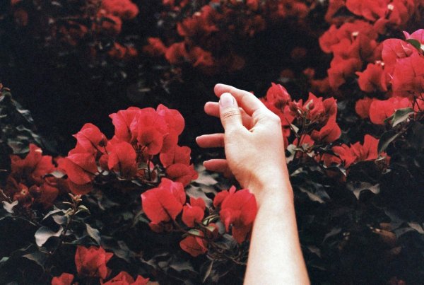 Цветочки Эстетика