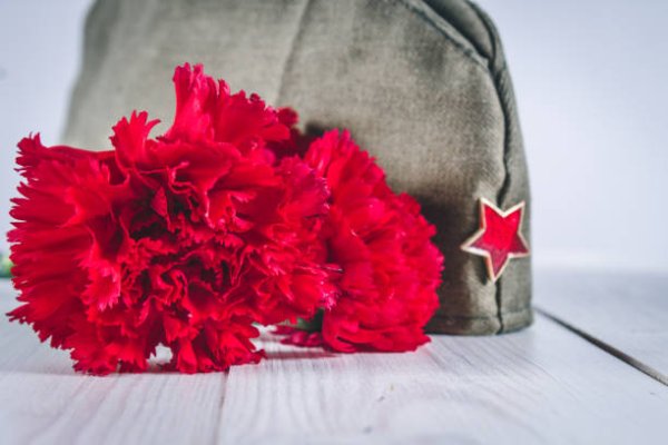 Гвоздика война