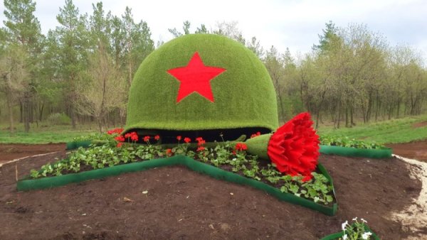 Цветы в солдатской каске