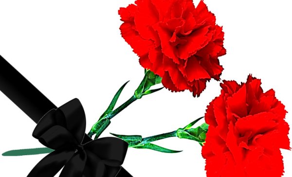 Две гвоздики