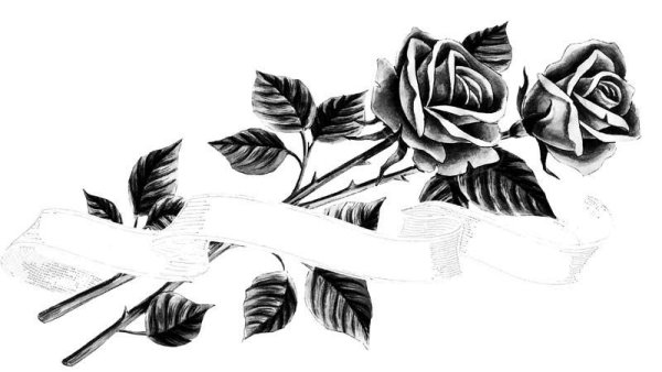 Траурные цветы на прозрачном фоне