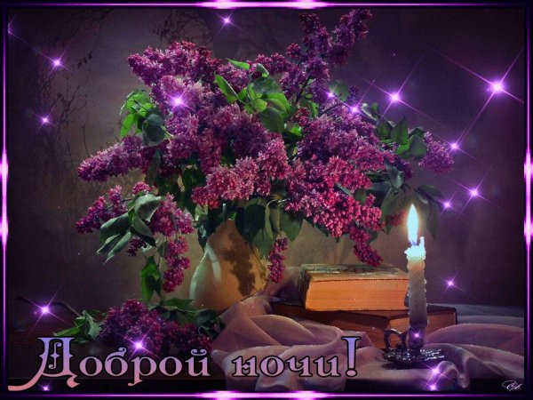 Добрый вечер сирень