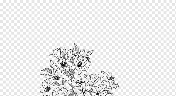 Графические цветы без фона