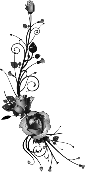 Черные цветы на прозрачном фоне