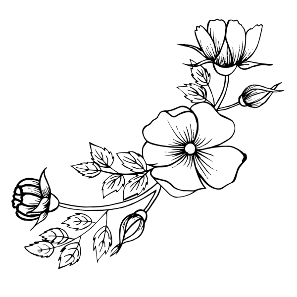 Цветы на прозрачном фоне