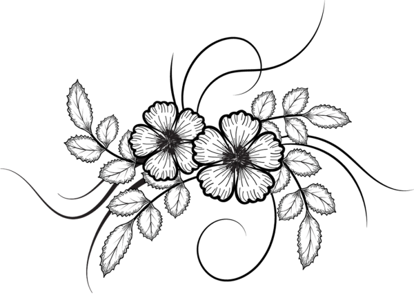 Черно-белый цветок