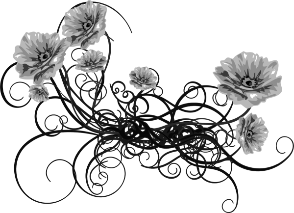 Цветы без фона