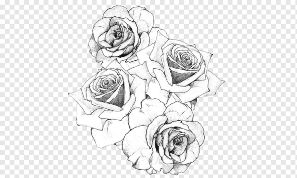 Эскиз тату цветы на прозрачном фоне