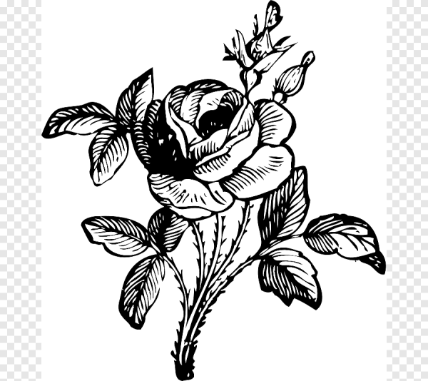 Белые цветы на черном