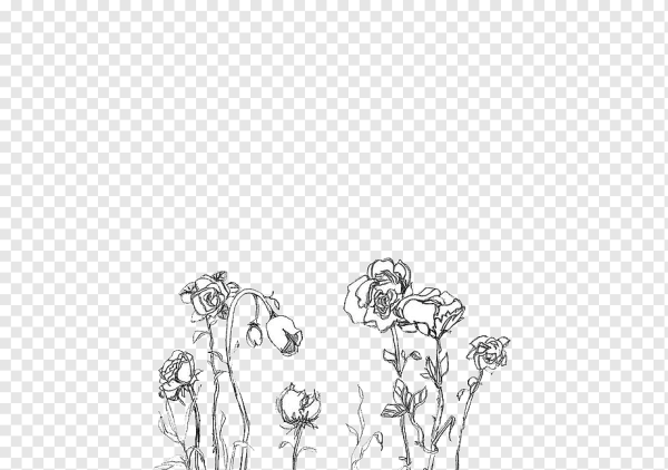 Цветы черно-белые на прозрачном фоне