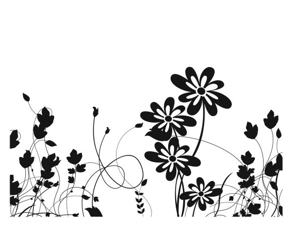 Черно-белый цветок