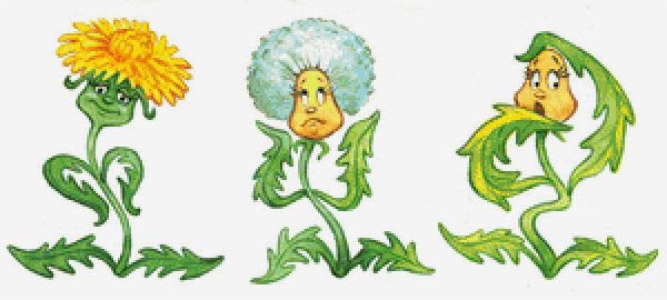 Катаев Цветик семицветик раскраска