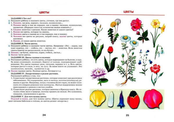 Пожелания на лепестках Цветика-семицветика