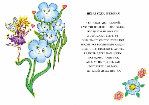 Цветы садовые полевые Лесные