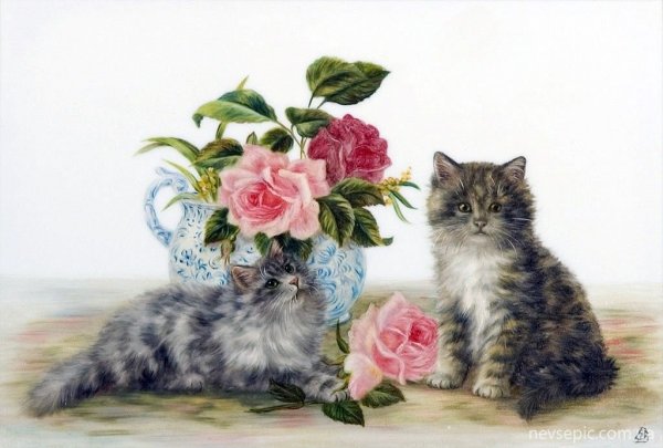 С днём рождения с котиками