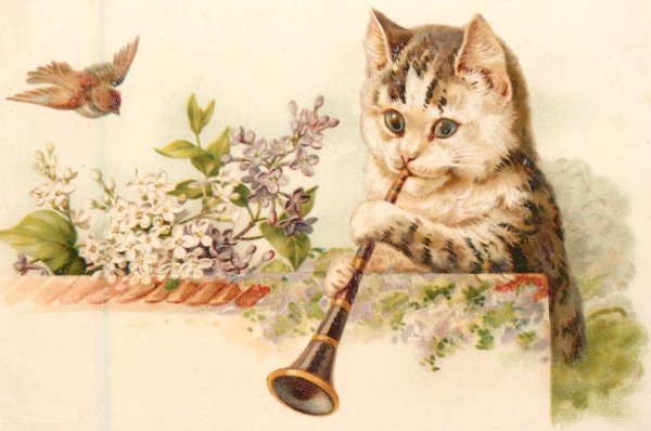 Открытки с днём рождения с котиками