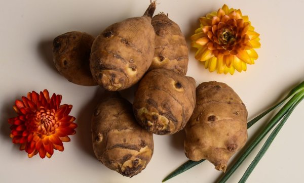 Земляная груша топинамбур