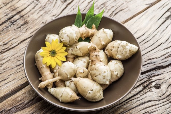 Иерусалимский артишок