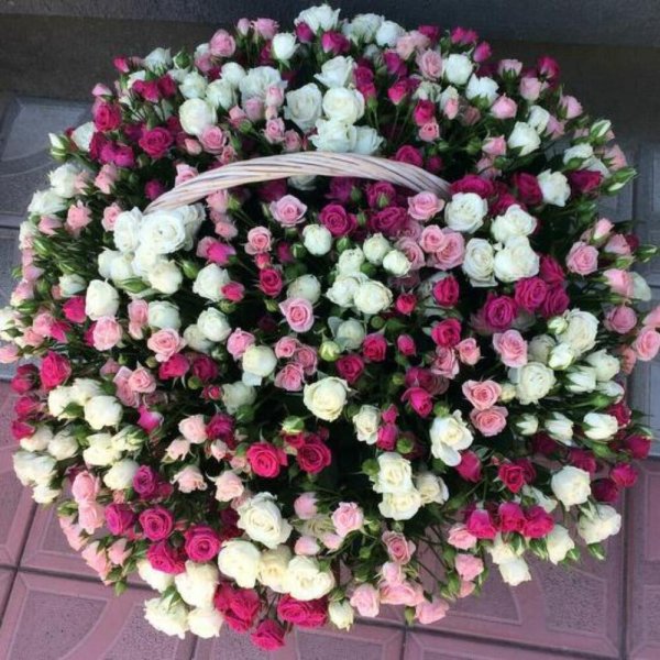 Огромная корзина цветов