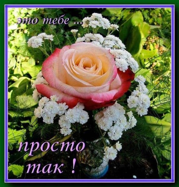 Это тебе просто так